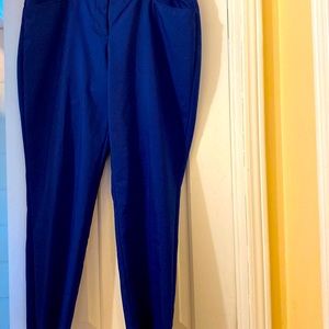 Brilliant Blue pants with front and back pocket